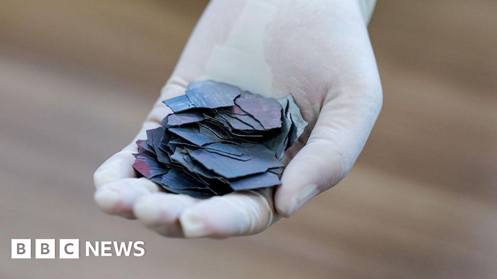 Australia bid to take on China dominance