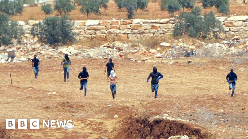 BBC witnesses Israeli settlers' attack on Palestinian farm in West Bank