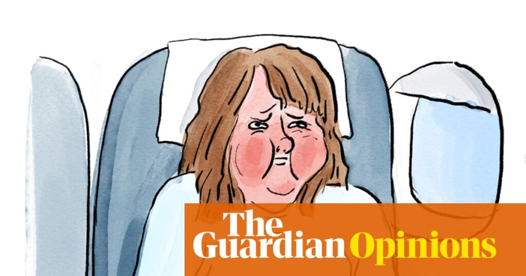 Becky Barnicoat on the sneaky added costs of budget air travel – cartoon