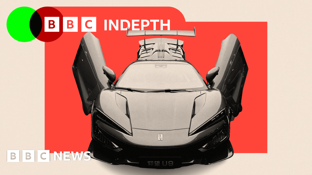 China's electric cars are cheaper, but is there a deeper cost?