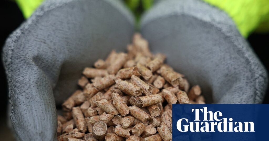 Drax’s shares plunge as City watchdog investigates sourcing of wood pellets | Drax