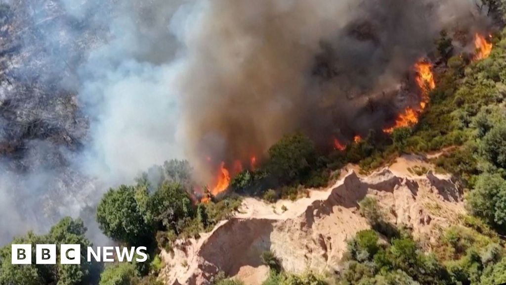 Europe's wildfires seen from above
