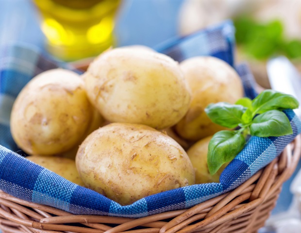 Scientists develop promising broad-spectrum antiviral targeting deadly viruses