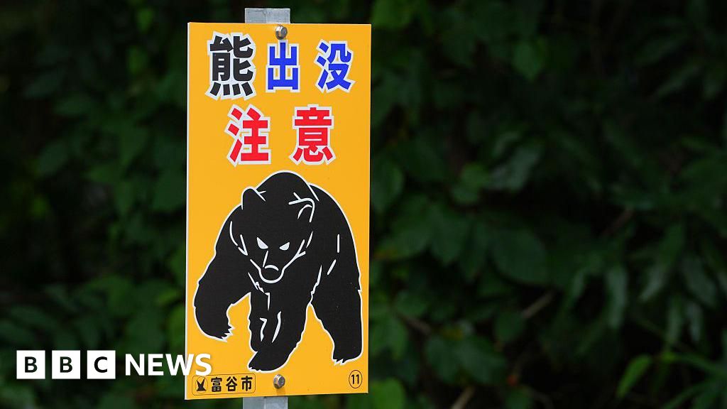 Suspected bear attack victim was killed by son, police say