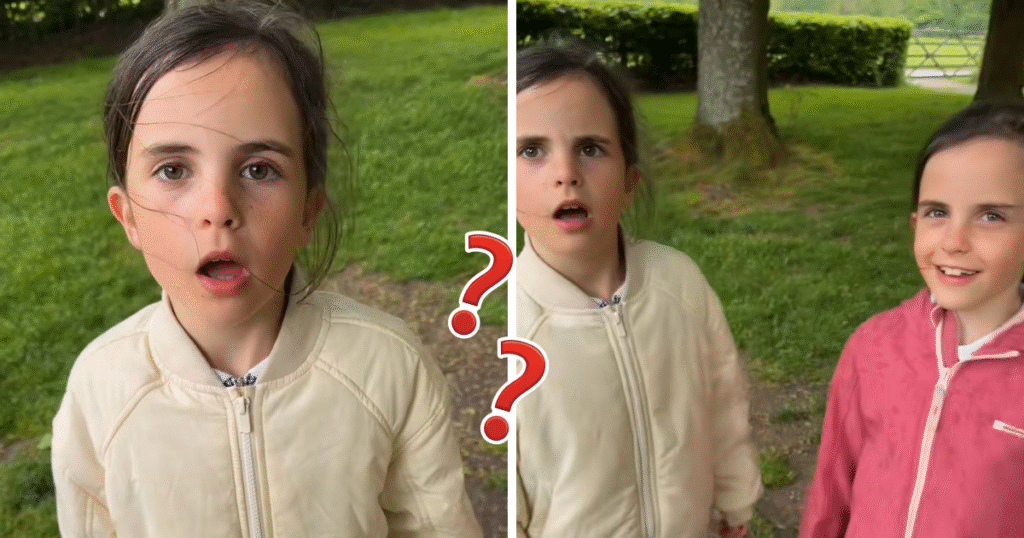 The ice cream rant twins on TikTok have now become influencers