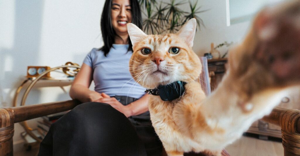 The new Fi Mini pet tracker has GPS, and it’s barely bigger than an AirTag