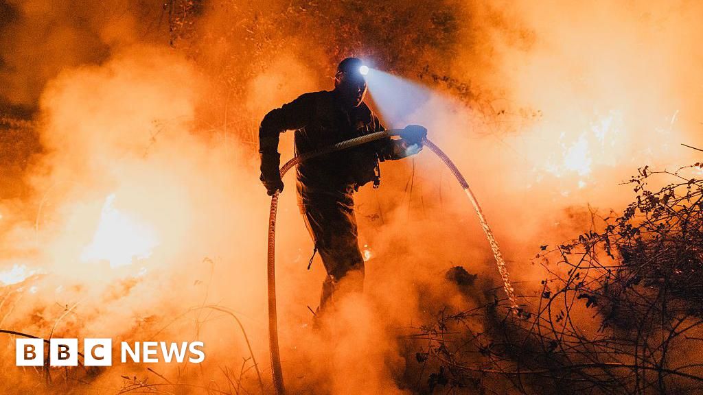 Two more dead as Spanish troops battle blazes