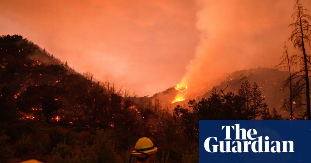 Vineyards assess damage as wildfire rips through California wine country: ‘A devastating situation’ | California wildfires