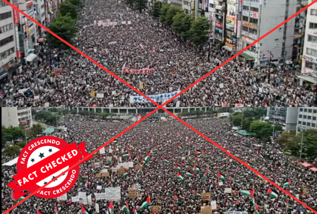 Viral Video of "Massive Pro-Palestinian Protest in Japan" Is AI-Generated - Fact Crescendo Sri Lanka English
