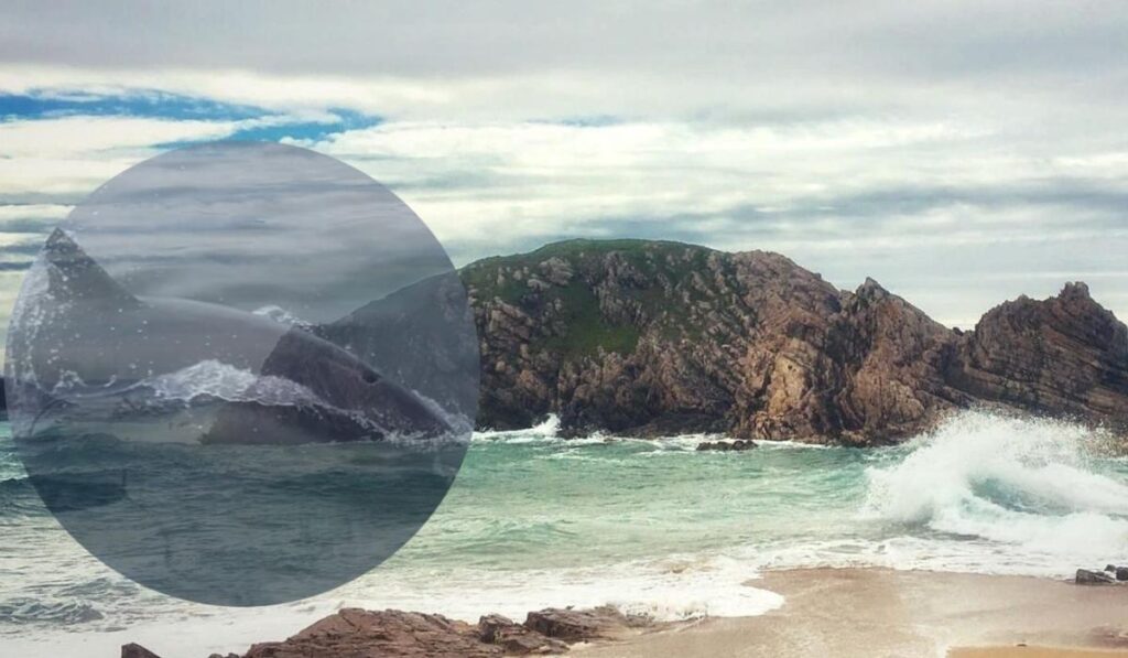 Watch: Viral TikTok of diving dolphin display at Downings Murder Hole Beach