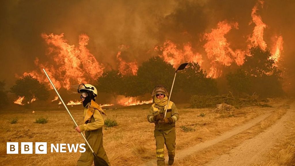 Wildfires rage in Spain and Portugal as heatwave continues