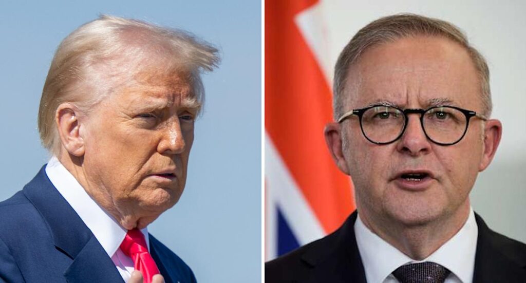 Albo called out over Trump detail, CEO responds to viral video, Dezi Freeman search reaches one week