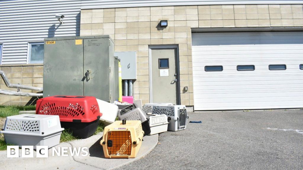 Animal shelter evacuated after FBI incinerates meth at facility