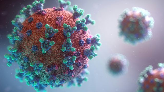 Broad-Spectrum Antiviral Blocks Multiple Deadly Viruses