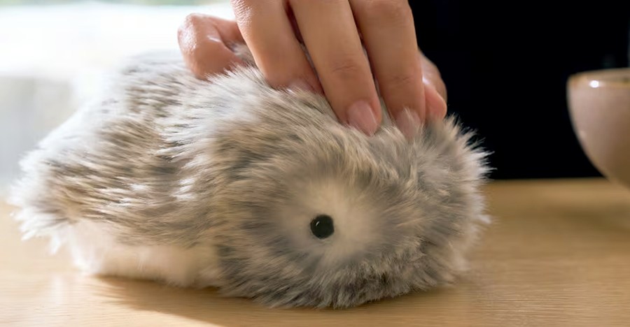 Casio’s stress-relieving furry robot is coming to the US