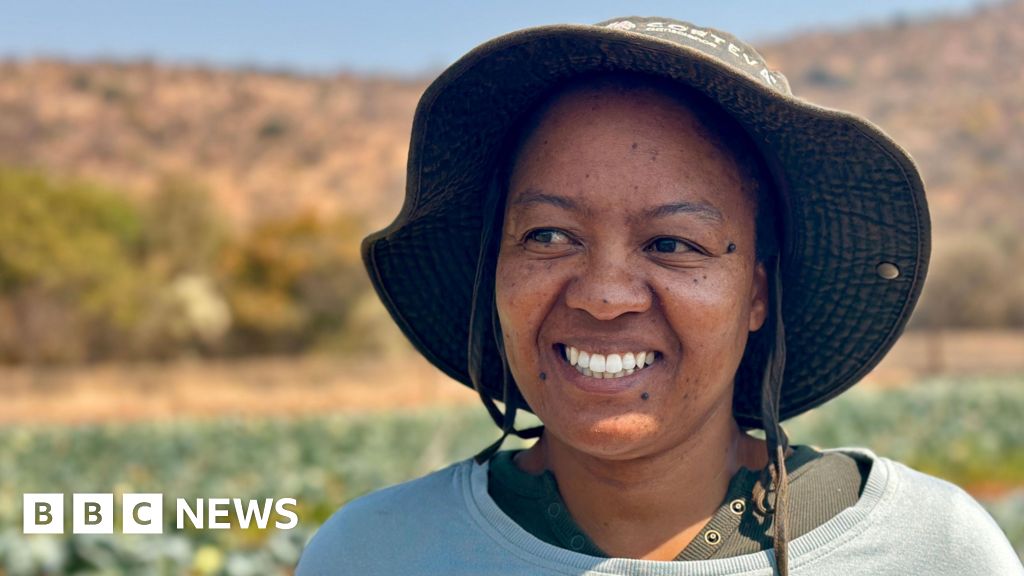 Experts aim to close the language gap