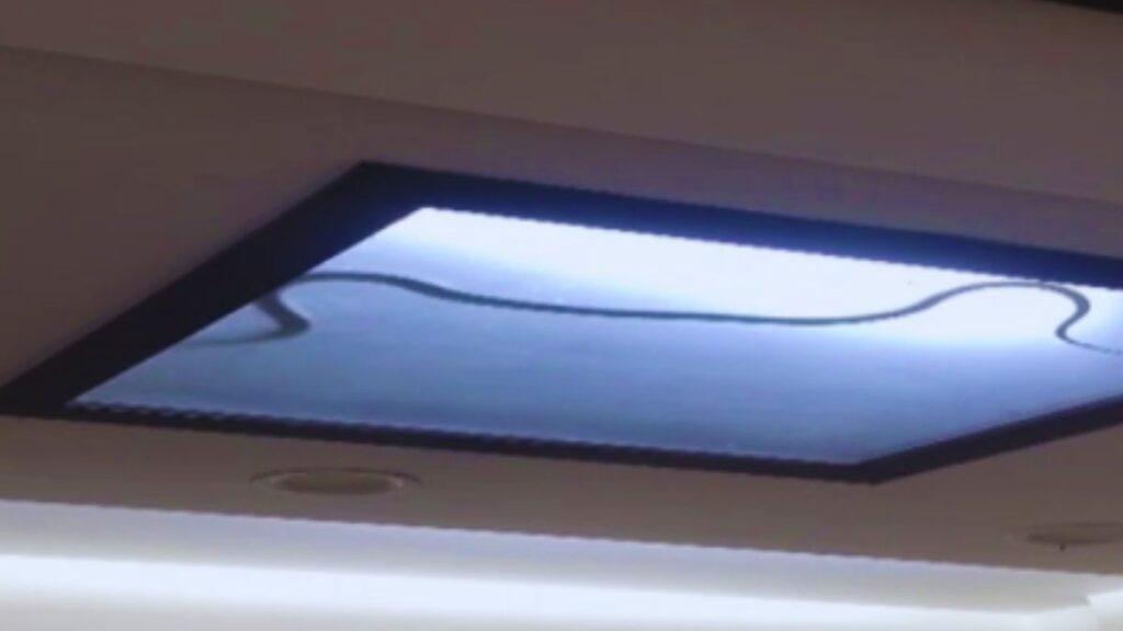 Noida family spends 36 hours in panic as cobra hides inside ceiling light video goes viral