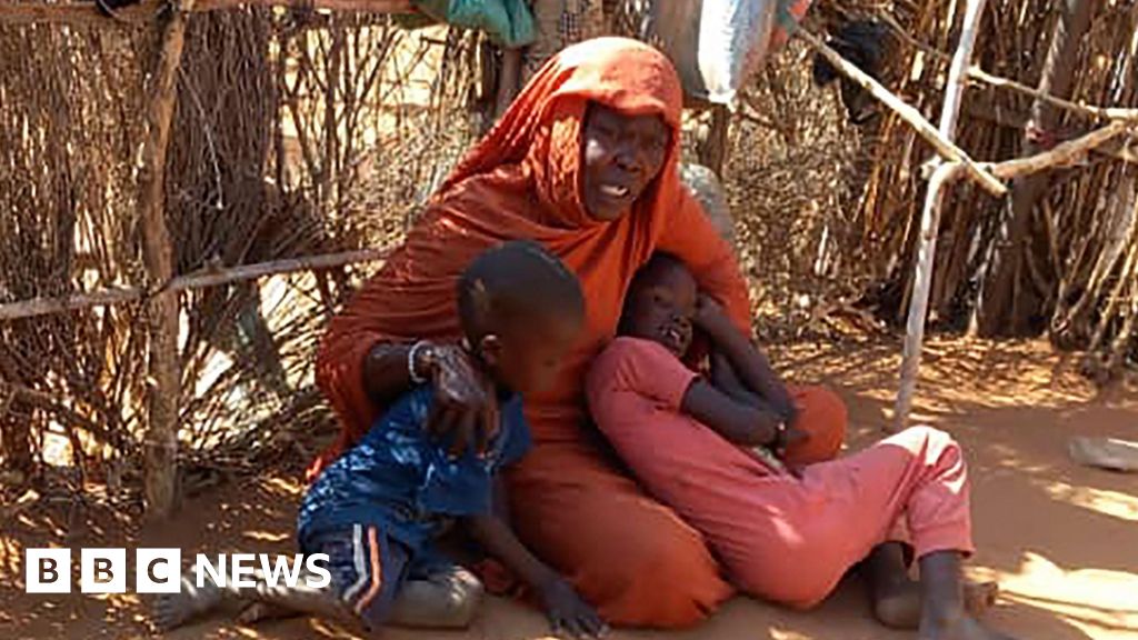 RSF accused of crimes against humanity over el-Fasher siege