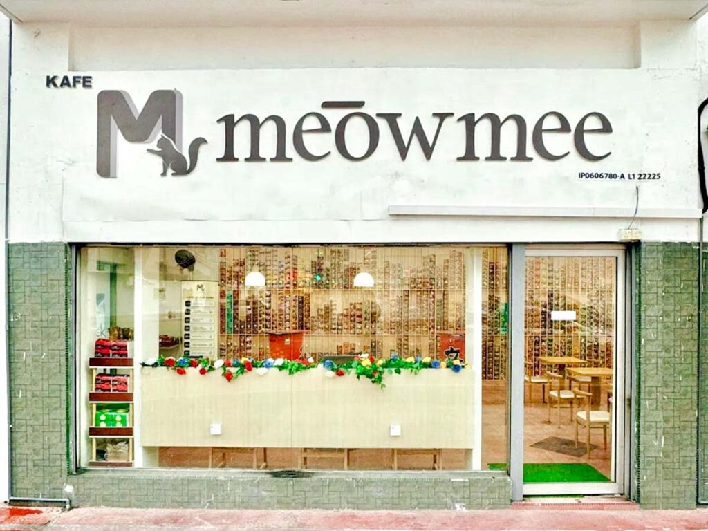 SG-owned pet cafe in Melaka shuts down after viral lonely alpaca video exposes illegal “mini zoo” in disturbing conditions