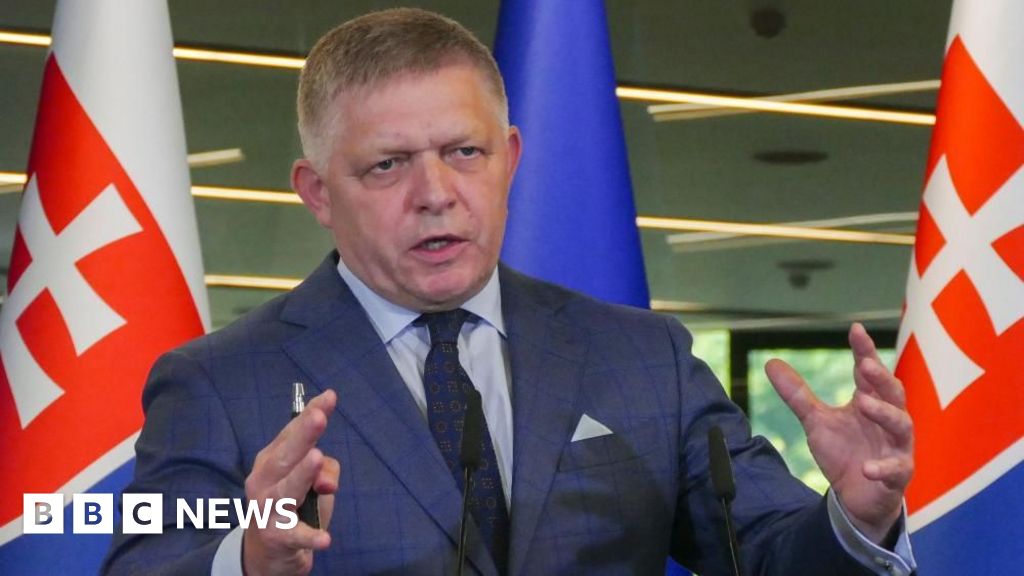 Slovakia passes law to recognise only two sexes and restrict adoption