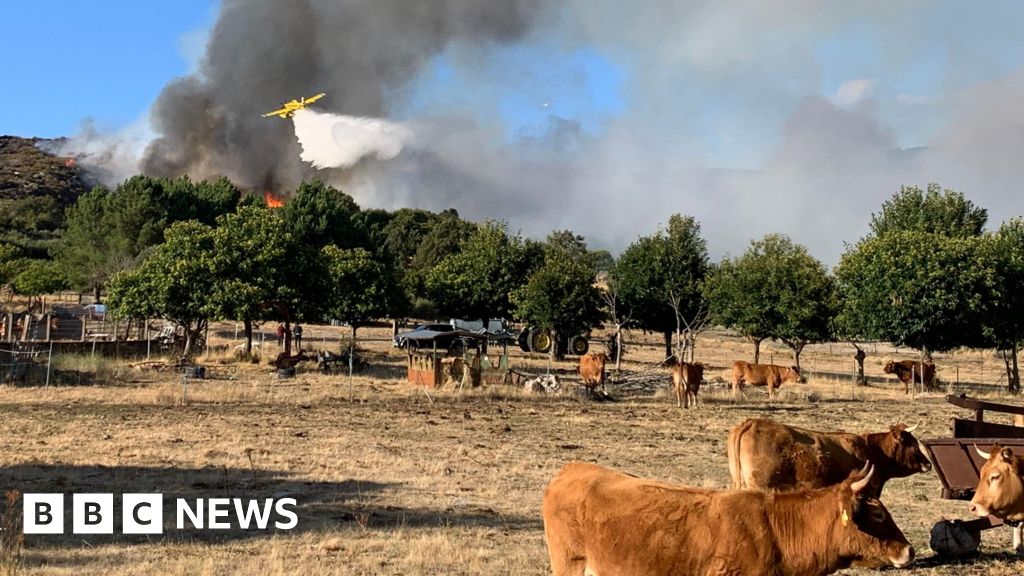 Spain counts the cost of "nightmare" wildfire summer