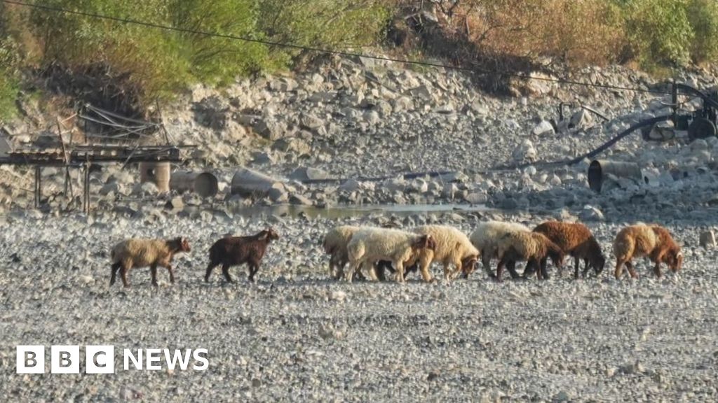 Syria's worst drought in decades pushes millions to the brink
