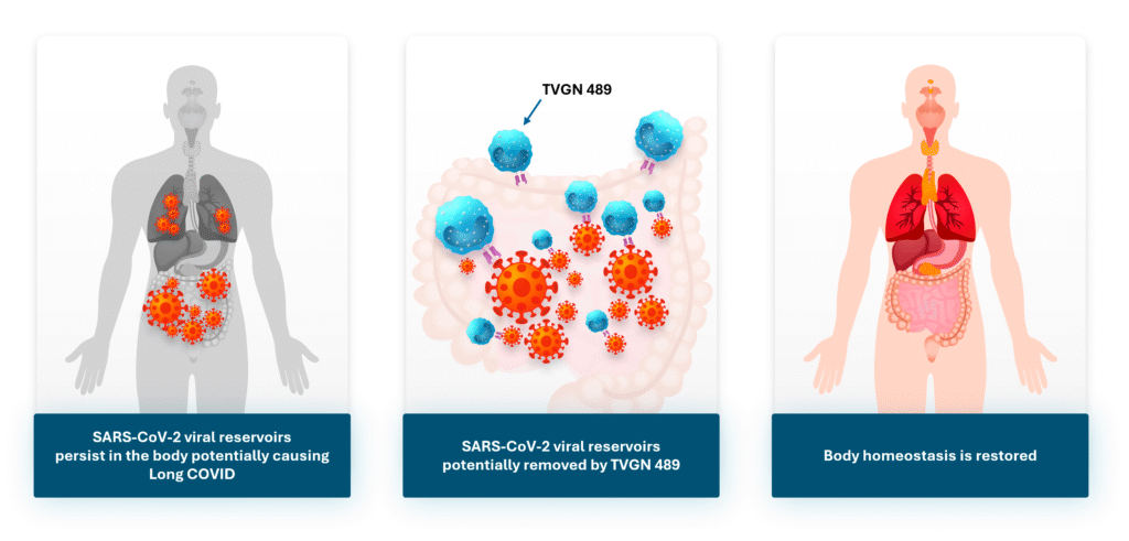 Tevogen Highlights Potential Role of TVGN 489 in Eliminating Persistent Viral Reservoirs Linked to Long COVID