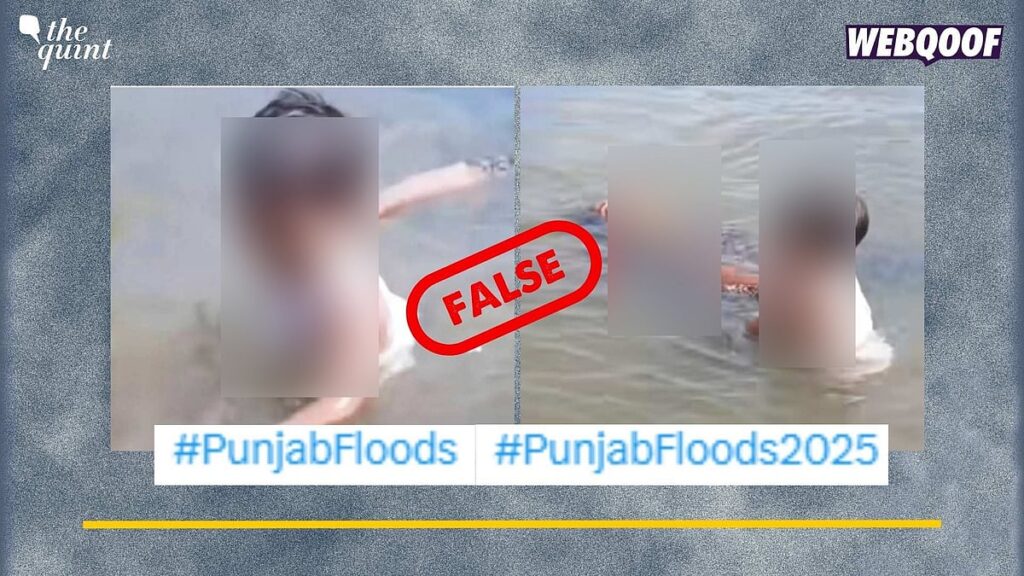 Unrelated Video Of Child Carrying Woman's Body in A Flooded Area Viral as One From Punjab