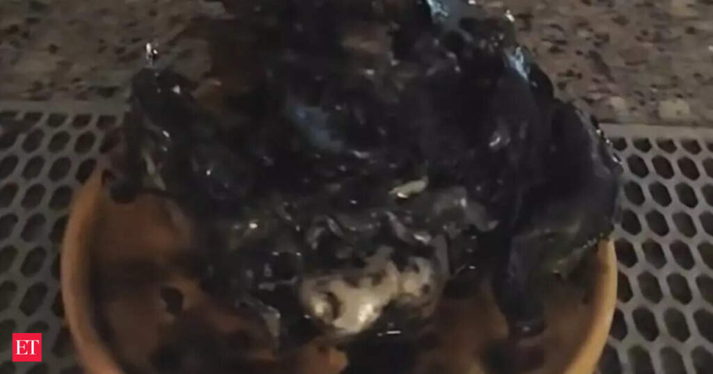 panama alien meteorite: Viral TikTok video from Panama shows alleged meteorite with ‘Alien Life’ – Discovery or Hoax?