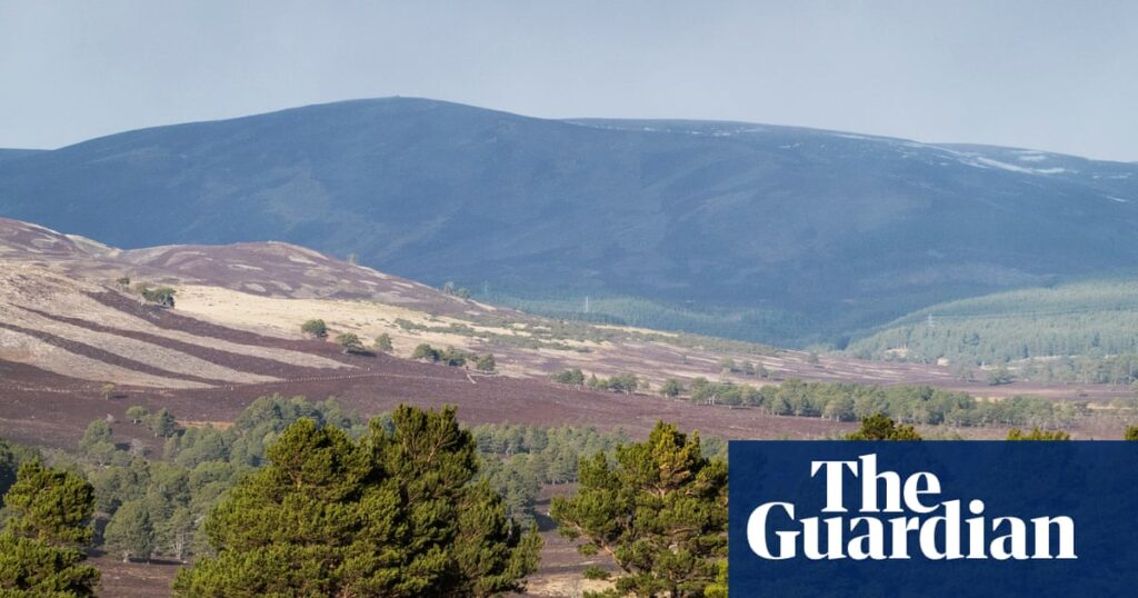 BrewDog sells Scottish ‘rewilding’ estate it bought only five years ago | Rewilding