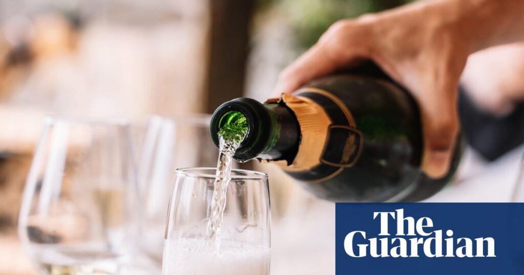 Champagne body attempts to buck Delevingne sisters’ marketing fizz | Food & drink industry