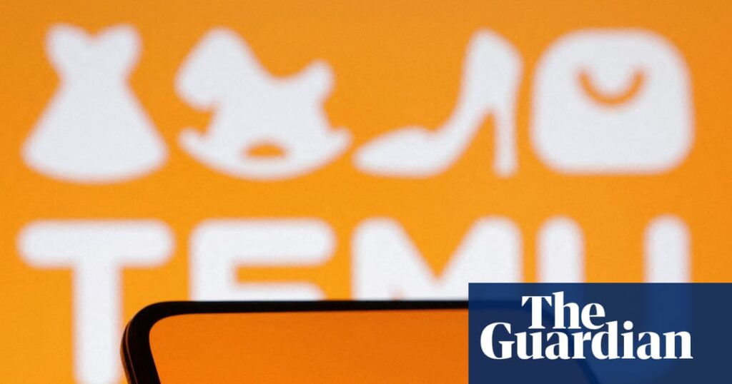 China’s Temu more than doubles EU profits to nearly $120m despite having only eight staff | Retail industry