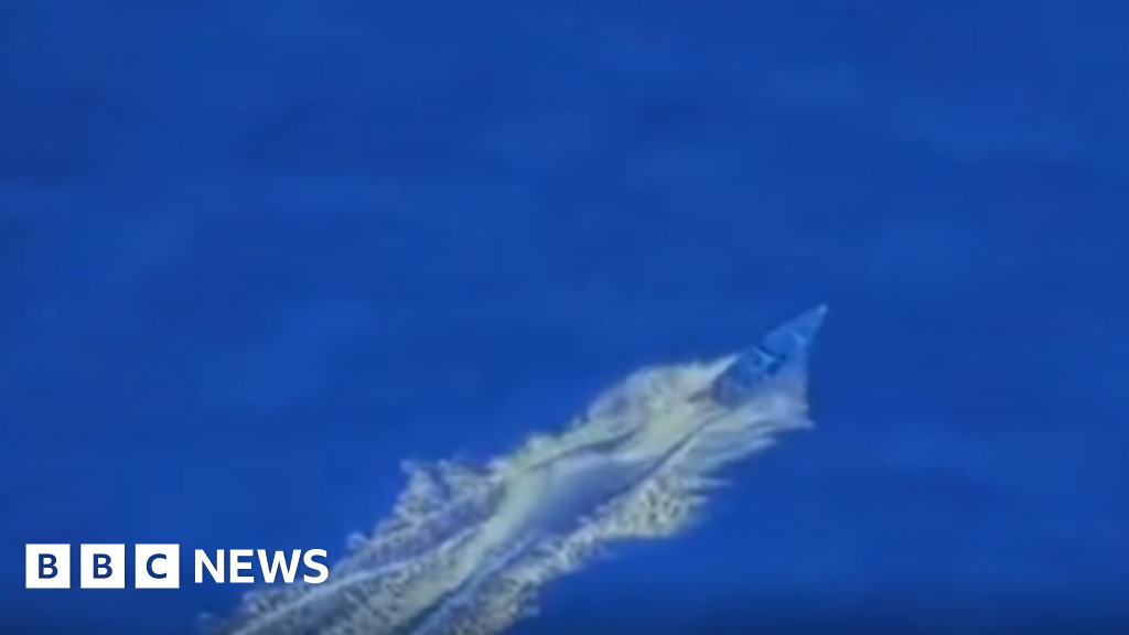 Colombia's president says boat struck by US was carrying Colombians