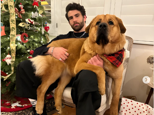 HasanAbi denies animal abuse allegations after viral clip