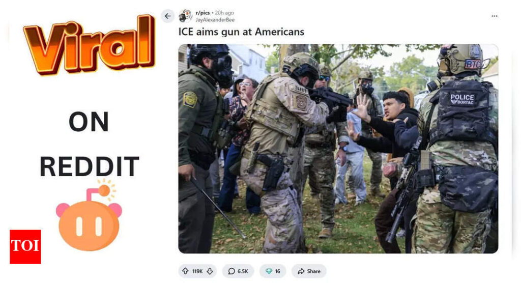 'ICE aims gun at Americans': Is the viral Reddit photo real? | World News