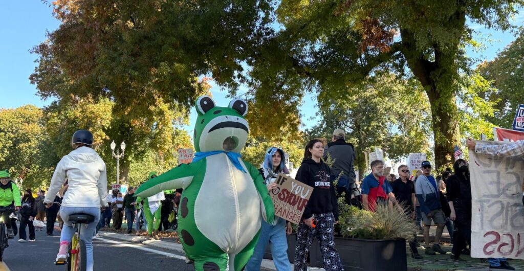 March of the frogs | The Verge