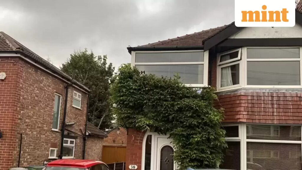 New viral optical illusion: Only those with sharp vision can spot the cat in this Reddit challenge