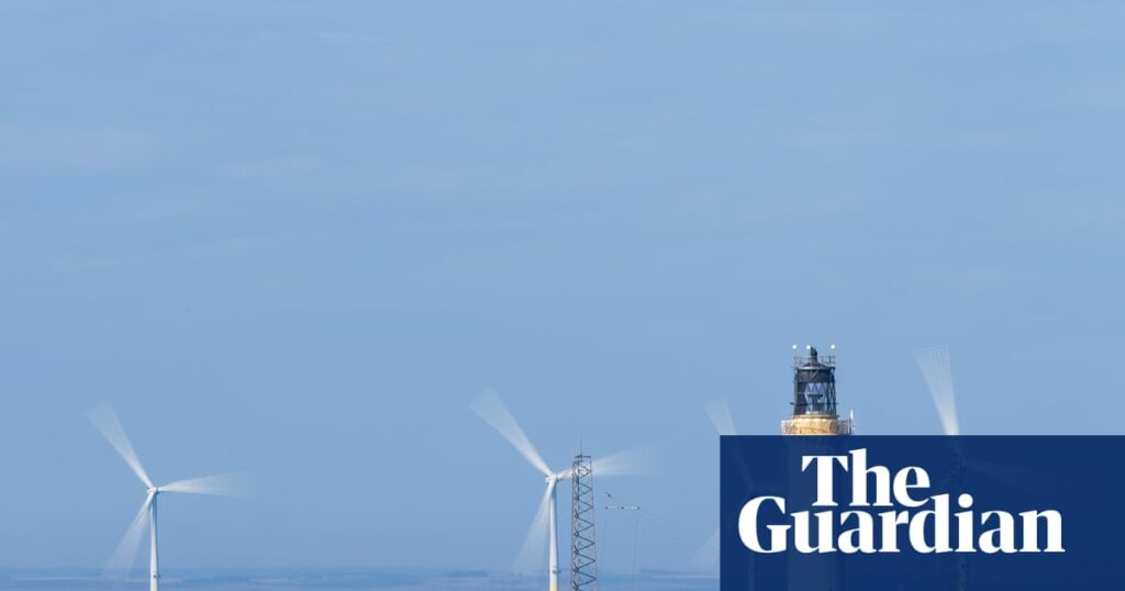 Offshore windfarm projects may be exempted from new UK nature rules | Environment