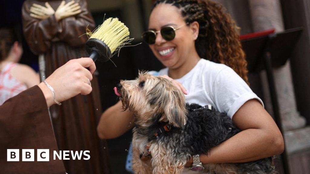 Pets around the world blessed for Feast of Saint Francis