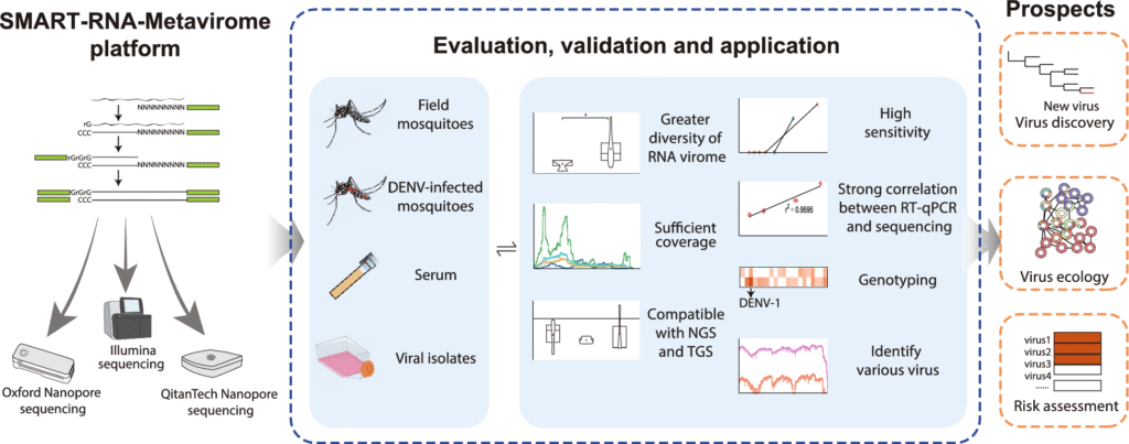 SMART-RNA-Metavirome: a practical RNA metavirome platform compatible with high-throughput sequencing of both short and long reads | Infectious Diseases of Poverty