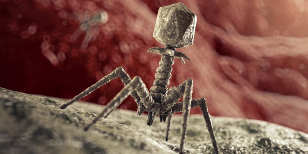 Scientists Are Engineering Viruses to Fight Bad Bacteria