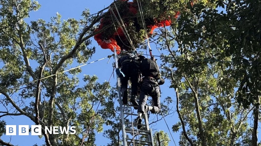 Skydiver dies after falling without parachute