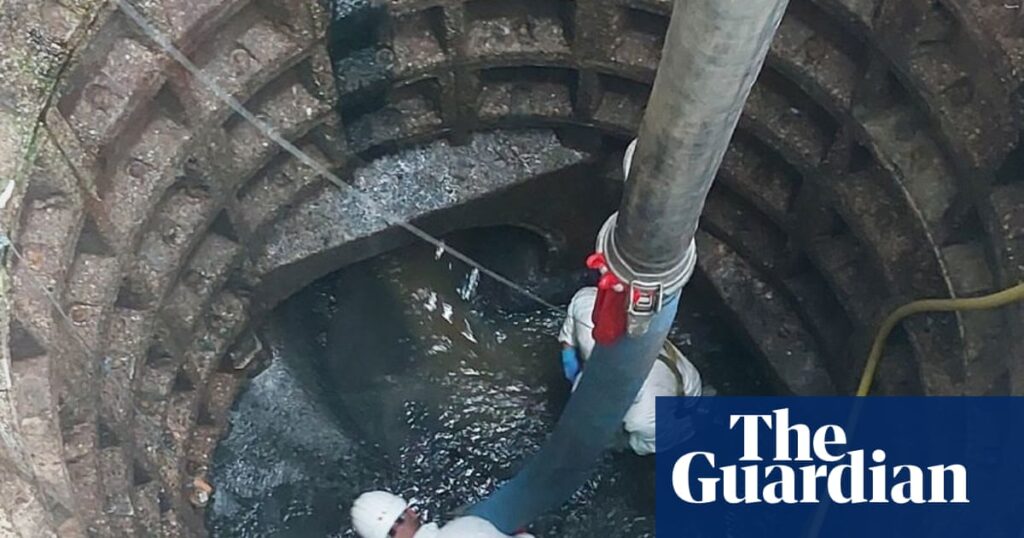 Thames Water removes 100-tonne fatberg from west London sewer | Environment