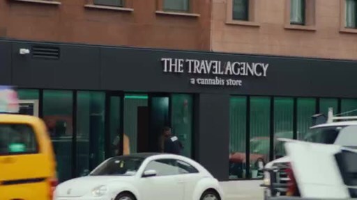 The Travel Agency Reveals the True Story Behind Its Viral Cannabis Carrier Pigeon Campaign