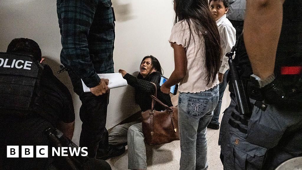 'They treated us like animals'