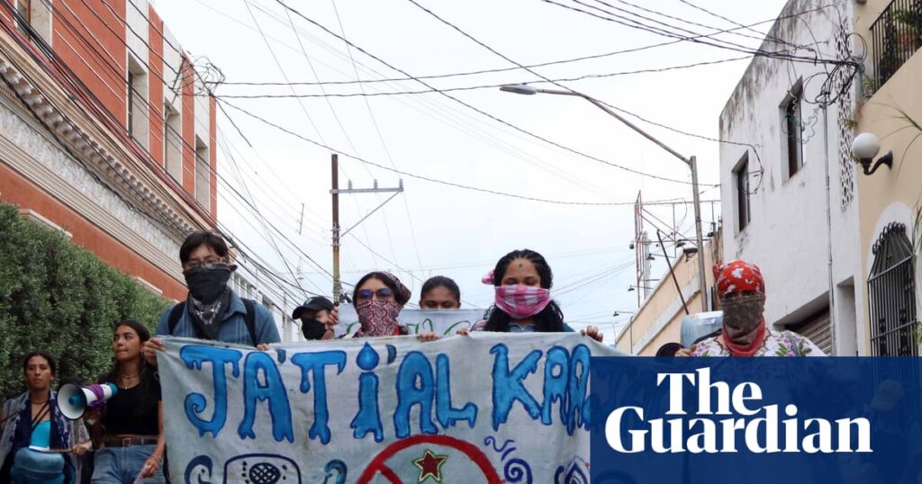 Trouble brewing: Maya people in Yucatán fear new Heineken plant’s thirst for water | Global development