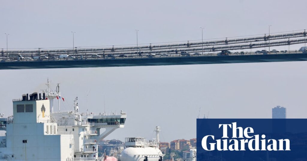 Trump sanctions have swift impact but will world stop buying Russian oil and gas? | Energy industry