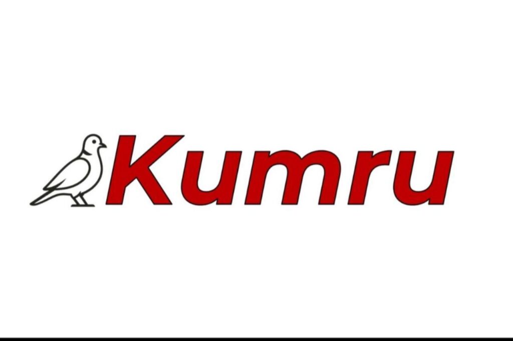 Türkiye’s new homegrown AI model 'Kumru' sparks viral debate— and raises bigger questions