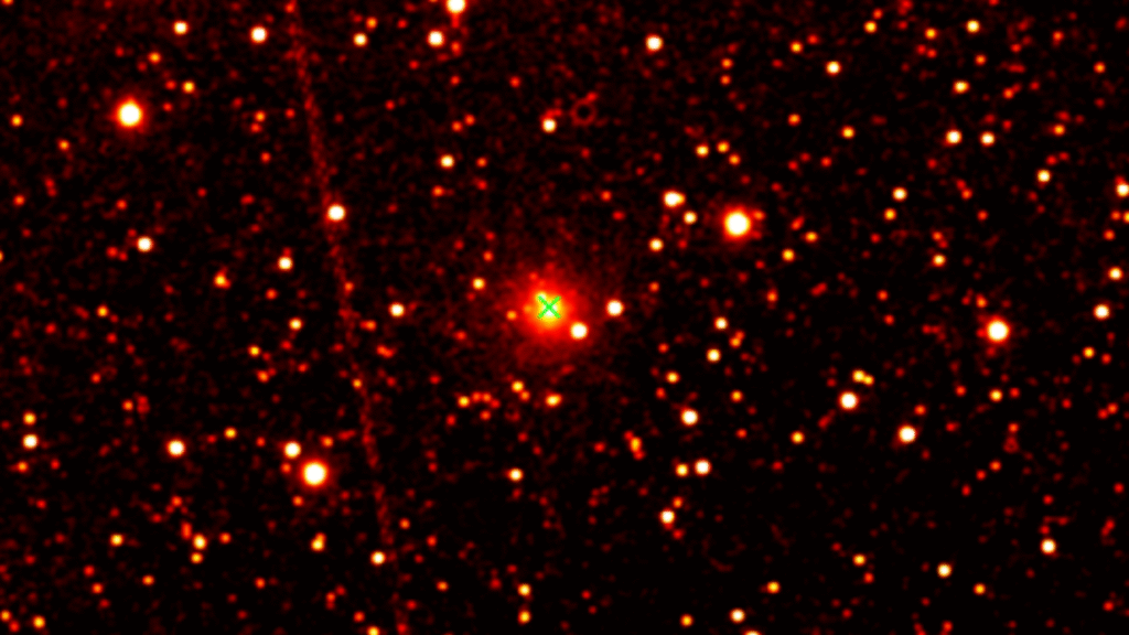 Viral 3I/ATLAS Video is Not Space—It's a Microscopic Paramecium