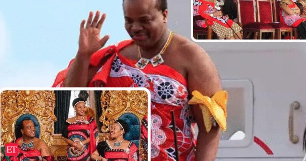 Viral video: African king’s grand entry in UAE with 15 wives & 100 servants; Internet fumes, 'his people live without electricity or water'